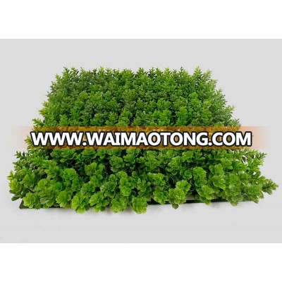 China wholesale new boxwood grass mat articial boxwood panels for decoration