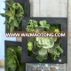 interior design decoration artificial succulent plant haning plant wall artificial plant with photo frame