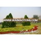 2016 new designed garden decoration artificial topiary boxwood grass statue