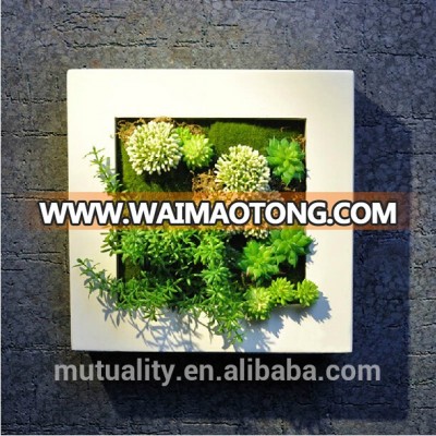 Beautiful Photo Frames Artificial Succulents Vertical plant wall