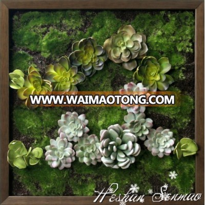 customized design high quality artifiical hanginga succulents plant wall vertical green wall for home interior decoration