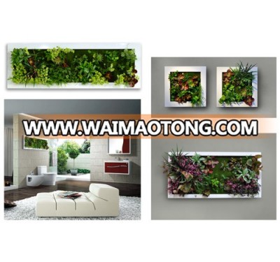 2016 hot sale artificial meaty plant wall manufacture price and high quality