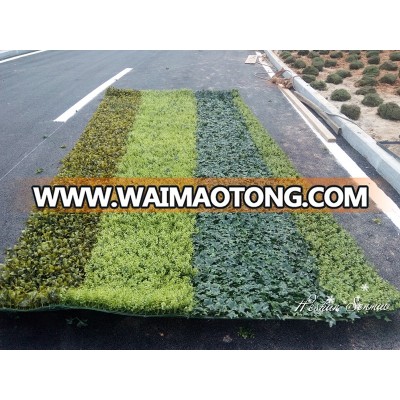 China wholesale supply artificial leaf hedge green fence for garden decor