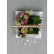 China manufacture artificial mini potted succulent for home decoration