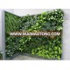 Latest Wholesale plastic garden walls green wall for interior decoration