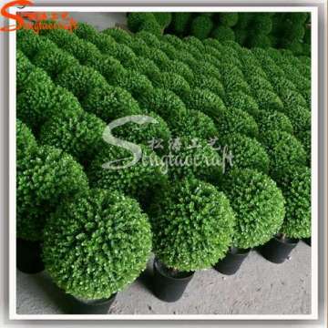 2016 Professional Wholesale Hot Sale Artificial Ball Plant Bonsai