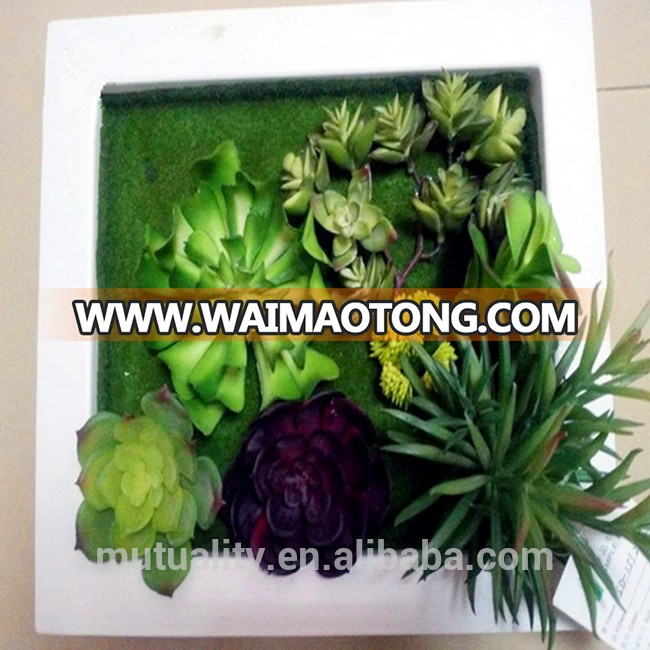 2016 new Artificial succulent with photo frame for home decoration